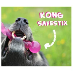 KONG Safestix -Heimtierbedarf product kong safestix none 4 1458633926 66969