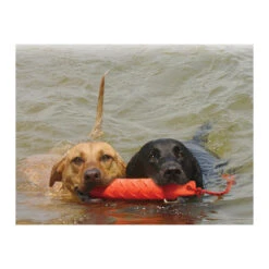 KONG Training Dummy 11 KONG Training Dummy -Heimtierbedarf product kong training dummy none 4 1469627104 71971