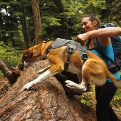 Ruffwear Webmaster Harness -Heimtierbedarf product ruffwear webmaster harness none 4 1471947180 76768