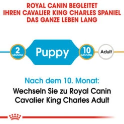 Royal Canin Cavalier King Charles Puppy - Hundefutter 13 Royal Canin Cavalier King Charles Puppy - Hundefutter -Heimtierbedarf royal canin cavalier king charles puppy hondenvoer 137905 0500 none