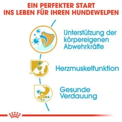 Royal Canin Cavalier King Charles Puppy - Hundefutter 10 Royal Canin Cavalier King Charles Puppy - Hundefutter -Heimtierbedarf royal canin cavalier king charles puppy hondenvoer 137923 0500 none