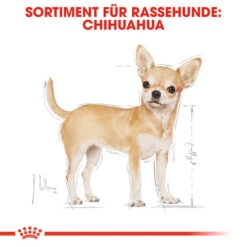 Royal Canin Chihuahua Adult - Hundefutter 10 Royal Canin Chihuahua Adult - Hundefutter -Heimtierbedarf royal canin chihuahua adult hondenvoer 137968 0500 none