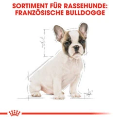 Royal Canin French Bulldog Puppy - Hundefutter -Heimtierbedarf royal canin french bulldog puppy hondenvoer 138718 0500 none