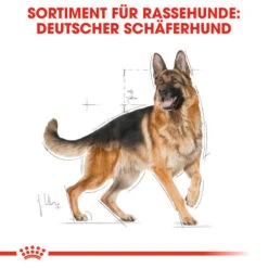 Royal Canin German Shepherd Adult - Hundefutter 10 Royal Canin German Shepherd Adult - Hundefutter -Heimtierbedarf royal canin german shepherd adult hondenvoer 138751 0500 none
