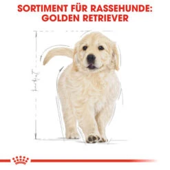 Royal Canin Golden Retriever Puppy - Hundefutter 11 Royal Canin Golden Retriever Puppy - Hundefutter -Heimtierbedarf royal canin golden retriever puppy hondenvoer 138958 0500 none