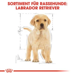 Royal Canin Labrador Retriever Puppy - Hundefutter -Heimtierbedarf royal canin labrador retriever puppy hondenvoer 139438 0500 none
