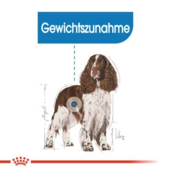 Royal Canin Medium Light Weight Care - Hundefutter -Heimtierbedarf royal canin medium light weight care hondenvoer 132851 0500 none