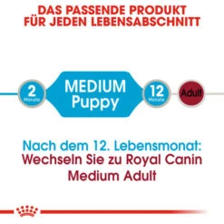 Royal Canin Medium Puppy Wet 12 Royal Canin Medium Puppy Wet -Heimtierbedarf royal canin medium puppy wet 129245 0500 none