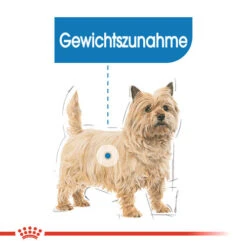 Royal Canin Mini Light Weight Care - Hundefutter -Heimtierbedarf royal canin mini light weight care hondenvoer 132725 0500 none