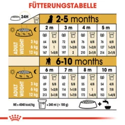 Royal Canin Poodle Puppy - Hundefutter -Heimtierbedarf royal canin poodle puppy hondenvoer 139762 0500 none