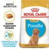 Royal Canin Poodle Puppy - Hundefutter