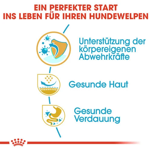 Royal Canin Pug Puppy - Hundefutter 2 Royal Canin Pug Puppy - Hundefutter – Bild 2