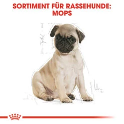 Royal Canin Pug Puppy - Hundefutter 11 Royal Canin Pug Puppy - Hundefutter -Heimtierbedarf royal canin pug puppy hondenvoer 139885 0500 none