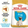Royal Canin Pug Puppy - Hundefutter