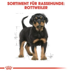 Royal Canin Rottweiler Puppy - Hundefutter -Heimtierbedarf royal canin rottweiler puppy hondenvoer 140029 0500 none