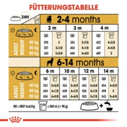 Royal Canin Rottweiler Puppy - Hundefutter -Heimtierbedarf royal canin rottweiler puppy hondenvoer 140038 0500 none