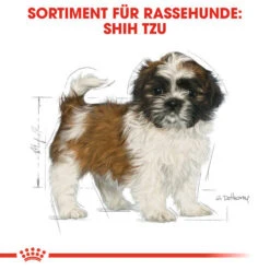Royal Canin Shih Tzu Puppy - Hundefutter -Heimtierbedarf royal canin shih tzu junior hondenvoer 140411 0500 none