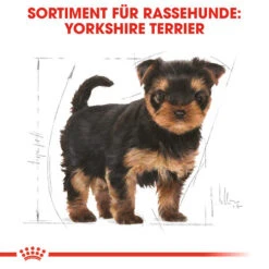 Royal Canin Yorkshire Terrier Puppy - Hundefutter 11 Royal Canin Yorkshire Terrier Puppy - Hundefutter -Heimtierbedarf royal canin yorkshire terrier puppy hondenvoer 140804 0500 none