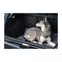 Royal Dry Doormat 10 Royal Dry Doormat -Heimtierbedarf royal dry doormat 187417 0500 none