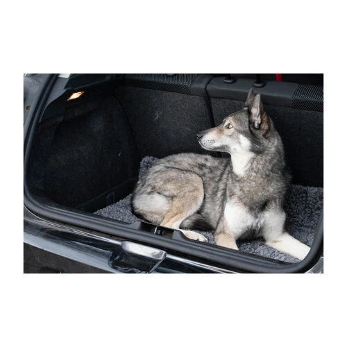 Royal Dry Doormat 4 Royal Dry Doormat – Bild 4