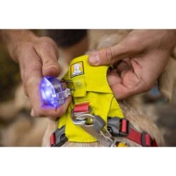 Ruffwear Hi & Light Harness -Heimtierbedarf ruffwear hi light harness 196031 0500 none