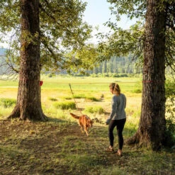 Ruffwear Knot-a-Hitch -Heimtierbedarf ruffwear knot a hitch 124643 0500 none