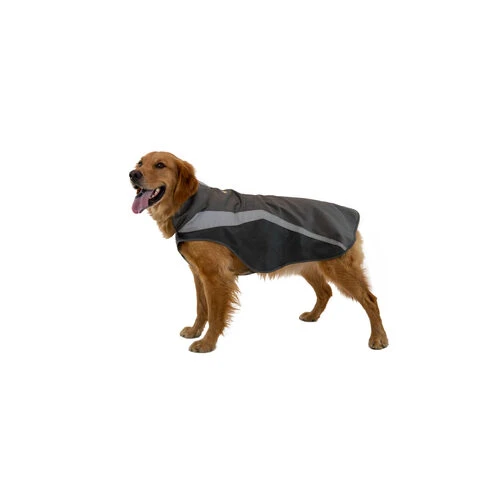 Ruffwear Lumenglow Hi-Vis Dog Jacket 4 Ruffwear Lumenglow Hi-Vis Dog Jacket – Bild 4
