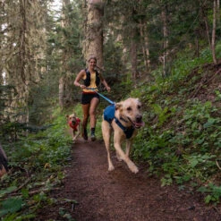 Ruffwear Roamer Leash - Blue Atoll 20 Ruffwear Roamer Leash - Blue Atoll -Heimtierbedarf ruffwear roamer leash blue atoll 204797 0500 none