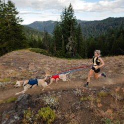 Ruffwear Roamer Leash - Blue Atoll 21 Ruffwear Roamer Leash - Blue Atoll -Heimtierbedarf ruffwear roamer leash blue atoll 204800 0500 none