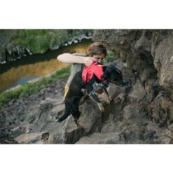 Ruffwear Webmaster Harness -Heimtierbedarf ruffwear webmaster harness 204671 0500 none