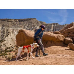 Ruffwear Webmaster Harness -Heimtierbedarf ruffwear webmaster harness 217118 0500 none