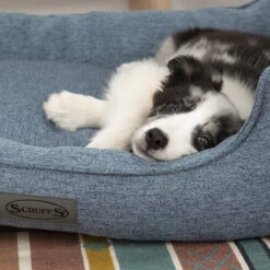 Scruffs Manhattan Box Bett -Heimtierbedarf scruffs manhattan box bed 209510 0500 none