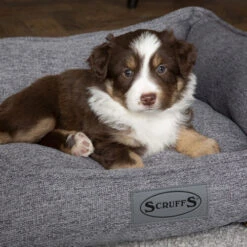 Scruffs Manhattan Box Bett -Heimtierbedarf scruffs manhattan box bed 209513 0500 none