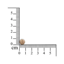 Sensipharm Gastro Entero Comfort -Heimtierbedarf sensipharm gastro entero comfort 174637 0500 none