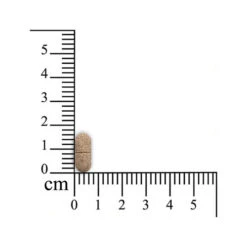 Sensipharm Inconti Stop Hund 5 Sensipharm Inconti Stop Hund -Heimtierbedarf sensipharm inconti stop hond 174532 0500 none