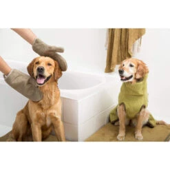 Siccaro DryGlove 5 Siccaro DryGlove -Heimtierbedarf siccaro dryglove 196901 0500 none