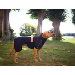 Siccaro WetDog SupremePro -Heimtierbedarf siccaro wetdog supremepro 20 216995 0500 none