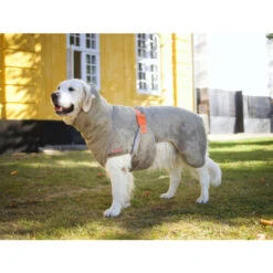 Siccaro WetDog SupremePro -Heimtierbedarf siccaro wetdog supremepro 20 216997 0500 none