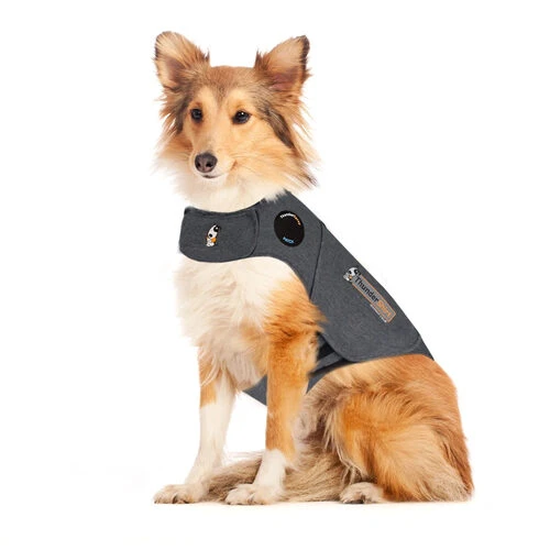 Thundershirt Für Hunde 1 Thundershirt Für Hunde