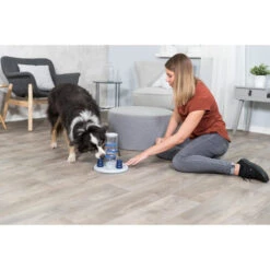 Trixie Dog Activity Gambling Tower -Heimtierbedarf trixie dog activity gambling tower 179852 0500 none