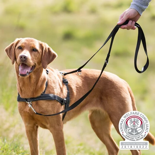 Trixie Lead'n Walk Soft Hundegeschirr 2 Trixie Lead'n Walk Soft Hundegeschirr – Bild 2