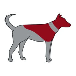 Trixie Aufblasbare Halskrause 5 Trixie Aufblasbare Halskrause -Heimtierbedarf trixie opblaasbare beschermkraag 101866 0500 none