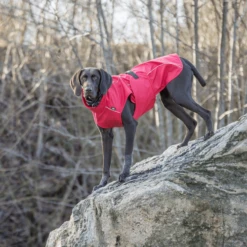 Trixie Regenjacke Vimy -Heimtierbedarf trixie regenjas vimy 204854 0500 none