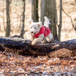 Trixie Regenjacke Vimy -Heimtierbedarf trixie regenjas vimy 204857 0500 none