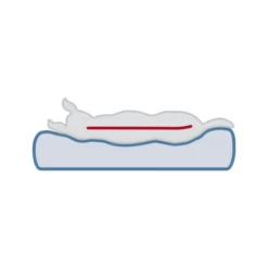 Trixie Vital Orthopädische Matratze Lonni -Heimtierbedarf trixie vital ligmat lonni 217058 0500 none