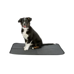 Trixie Hygiene Unterlage Nappy Wash 8 Trixie Hygiene Unterlage Nappy Wash -Heimtierbedarf trixie zindelijkheidsmat nappy wasbaar 167188 0500 none