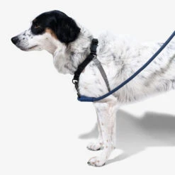 Zee.Dog Soft Walk Harness 17 Zee.Dog Soft Walk Harness -Heimtierbedarf zeedog soft walk harness 200684 0500 none